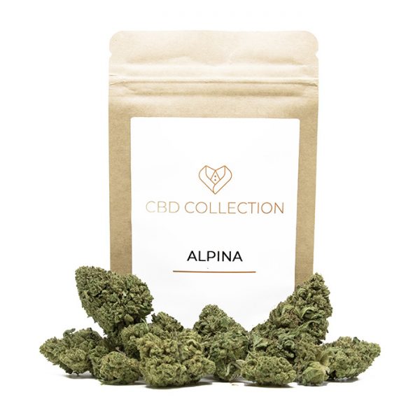 alpina marijuana legale