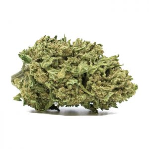 alpina - cannabis light