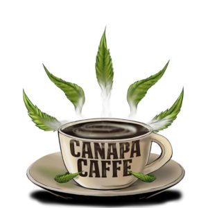 cannabis cup erba legale