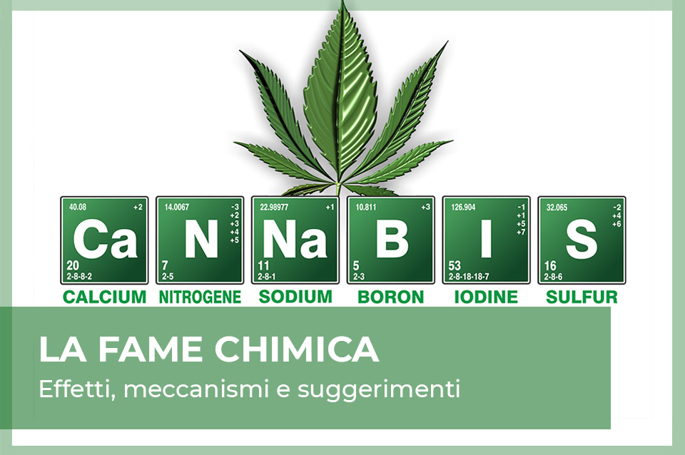fame chimica marijuana e cannabis light