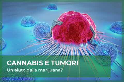 cannabis cura tumori malattie cancro