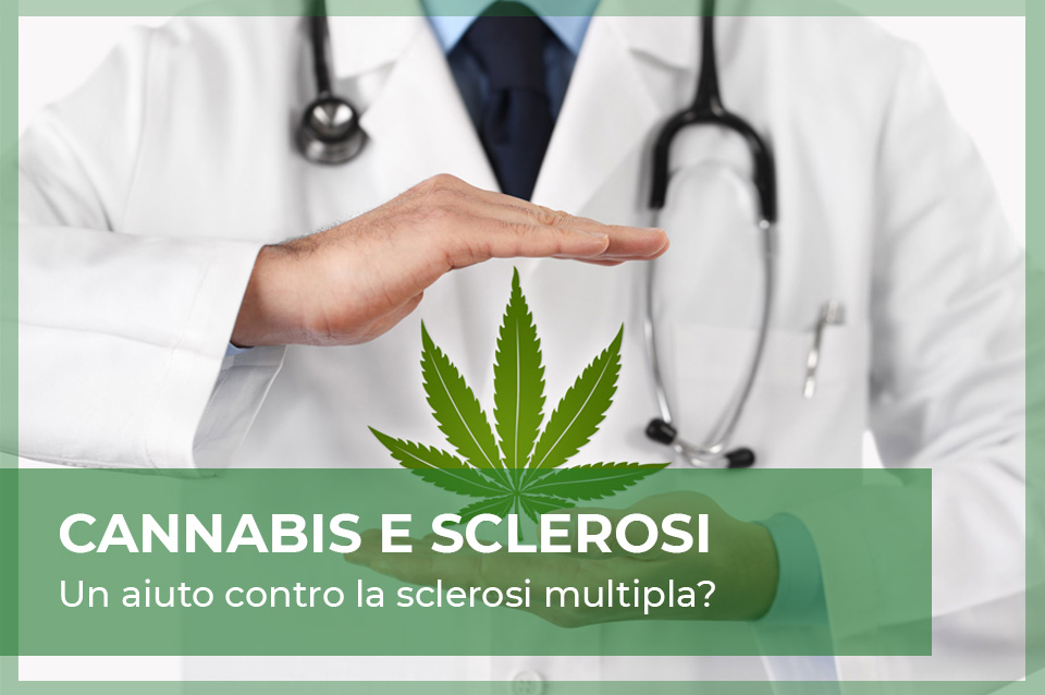 cannabis light sclerosi e cbd
