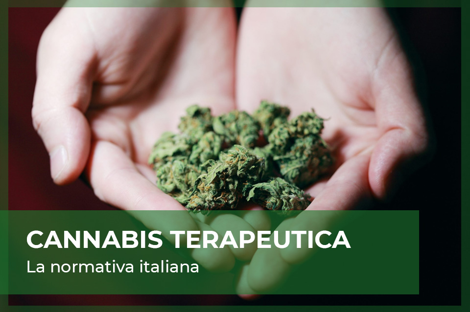 Cannabis terapeutica in Italia