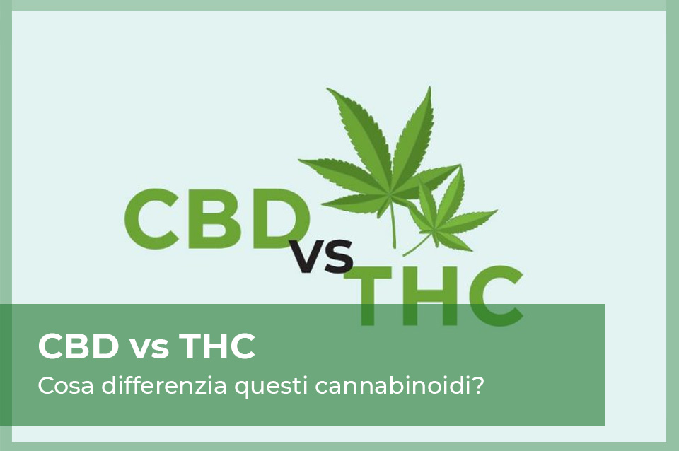 Differenze tra CBD e THC