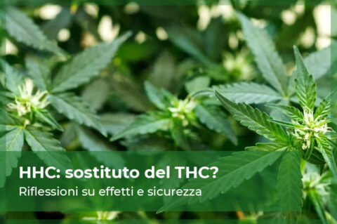 HHC - effetti, sicurezza e legalità